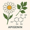 Apigenin und GABA: Wie die Pflanzensubstanz auf dein Nervensystem wirkt