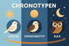 Chronotypen verstehen: So optimierst du deinen Schlaf individuell