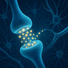 Dopamin, Serotonin & Co.: Wie Neurotransmitter deine Stimmung steuern