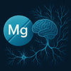 Magnesium und das Nervensystem: So wirkt der Mineralstoff auf Stress & Ruhe
