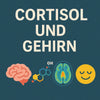 Cortisol & Gehirn: Wie Dauerstress Denken & Stimmung verändert